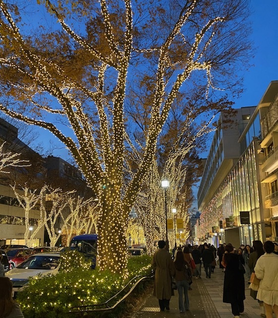 omotesando-illumination1