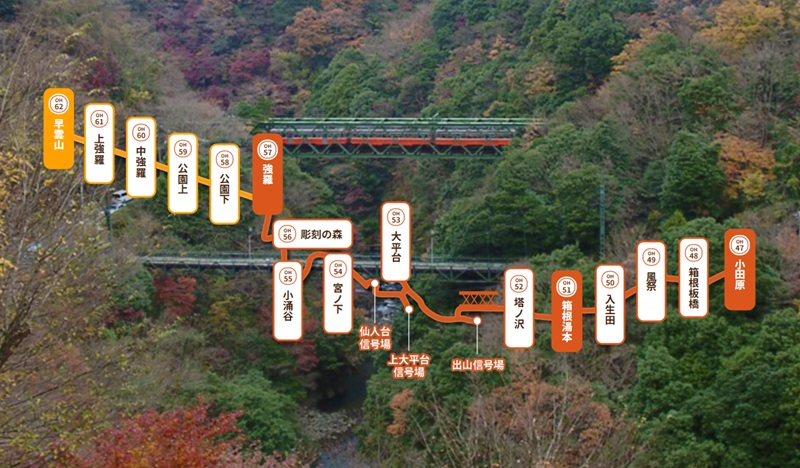 hakone-ajisai