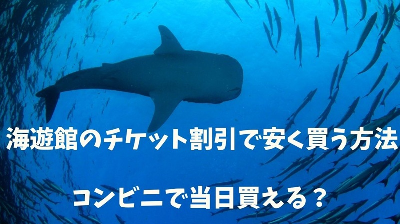 kaiyukan-ticket