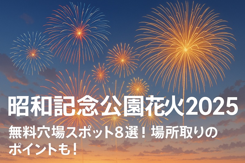 shouwakinen-park-hanabi-anaba