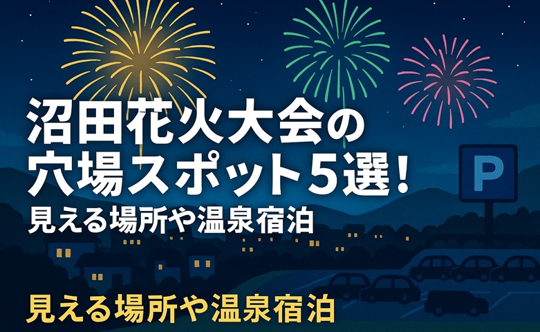 numata-hanabi-anaba1