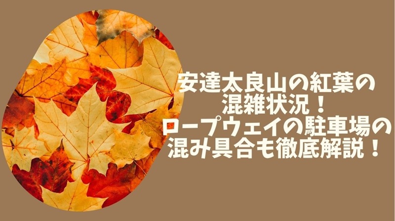 adatarayama-kouyou-konzatsu