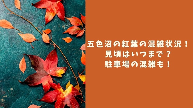 goshikinuma-kouyou-konzatsu1