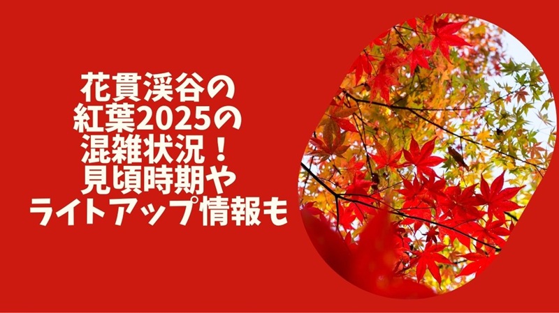 hananuki-kouyou-konzatsu