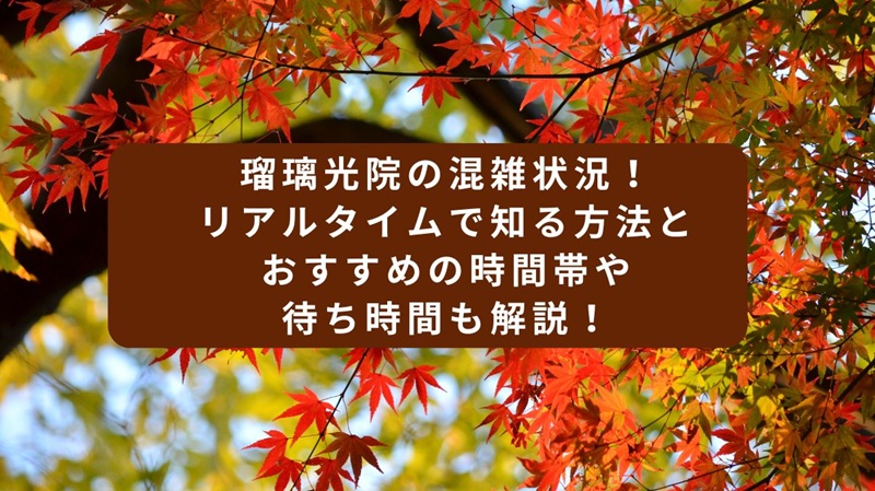 rurikouin-kouyou-konzatsu1