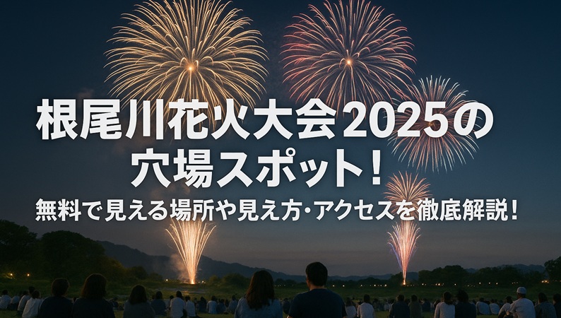 neogawa-hanabi-anaba