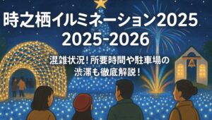 tokinosumika-illumination-konzatsu