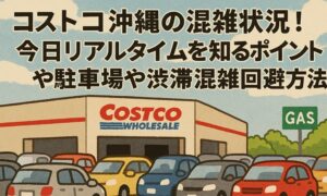 costco-okinawa-konzatsu