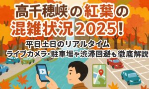 takachiho-kouyou-konzatsu