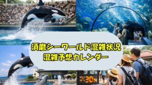 sumaseaworld-konzatsu