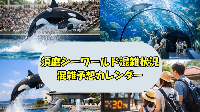 sumaseaworld-konzatsu