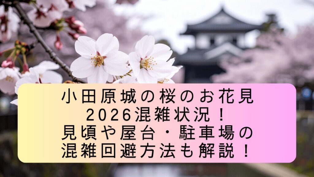 odawara-sakura-konzatsu1